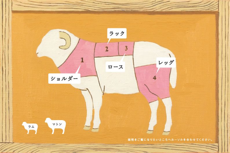 羊肉について